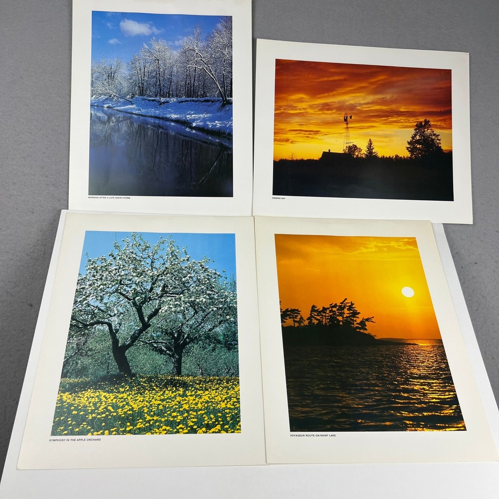 Vintage Minnesota Nature Landscape Art Prints Set of 4 11x14 Scenic Photography